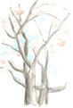 水彩画/家の桜